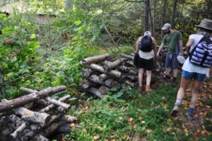 students in a permaculture design course looking at shiitake logs