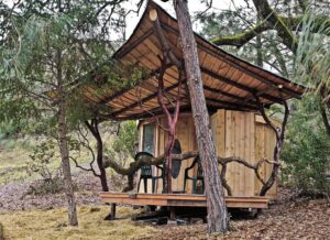 natural tiny house in the forest with curved branches for porch railing