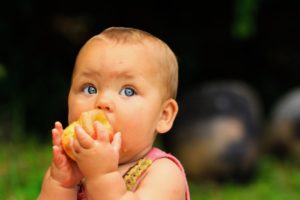 baby eating an apple