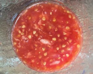 tomato seeds in a glass jar for seed saving