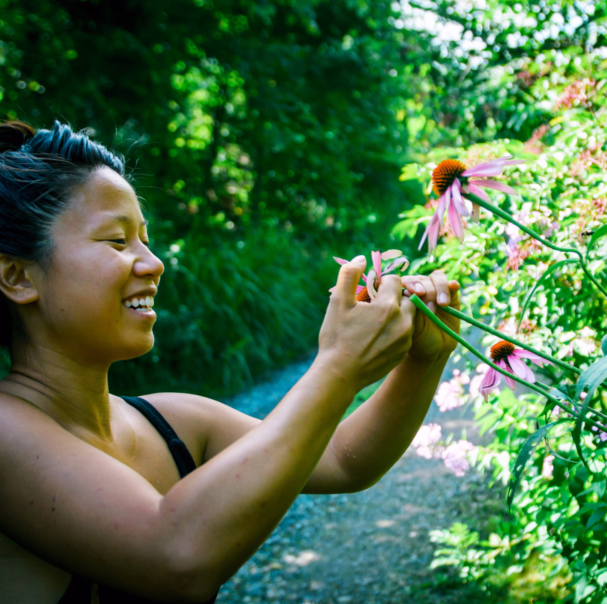 woman harvesting echinacea flower