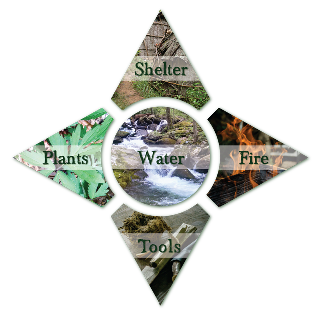 essential survival skills infographic with water shelter fire tools plants