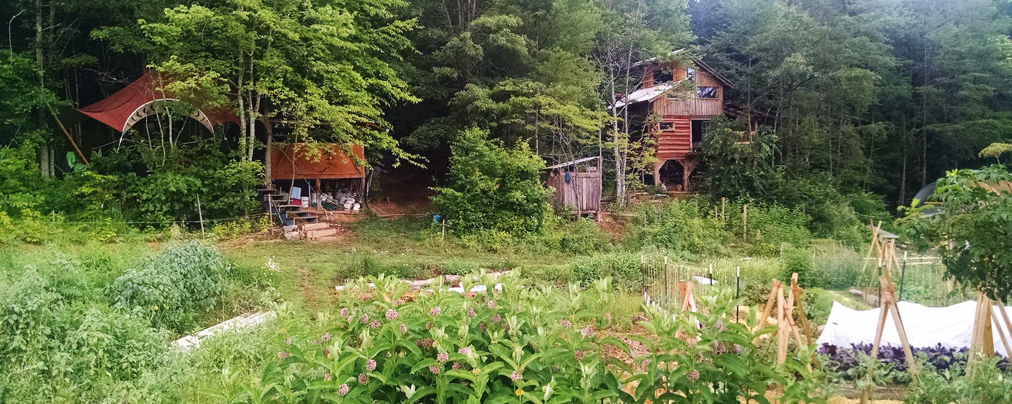 Wild Abundance School for homesteading & permaculture offers a variety of classes and workshops including tiny home and sustainable building, women's carpentry, homesteading essentials, primitive skills and ethical slaughtering.