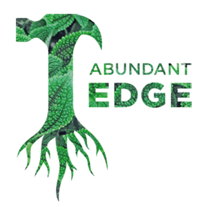 abundant edge logo