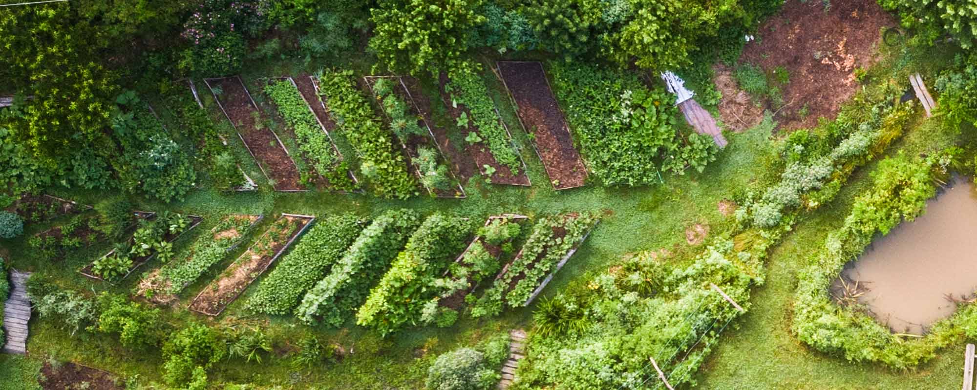 aerial view of leaf shaped garden