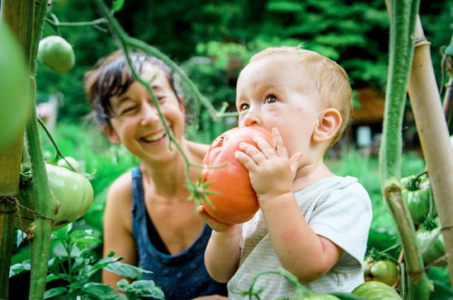 mother with baby eating a giant tomato