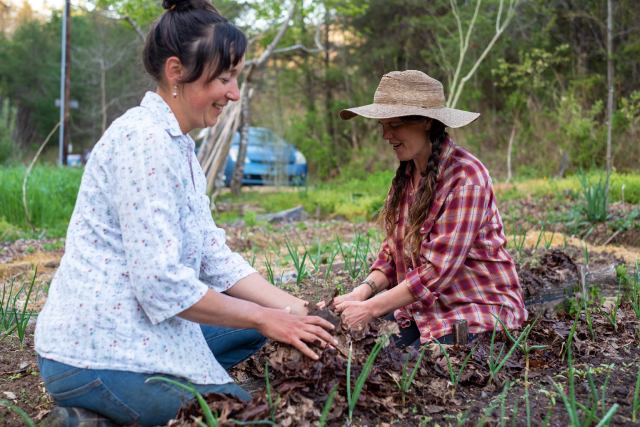 Gardening teachers mulching onions