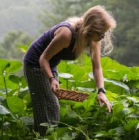 Top 10 Vegetables to Plant That Will Really Feed You