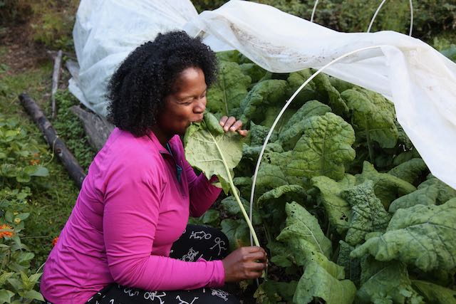 woman eating kale next to a row cover