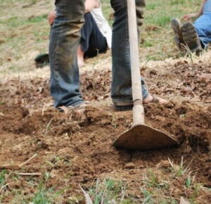 using a hoe in the garden