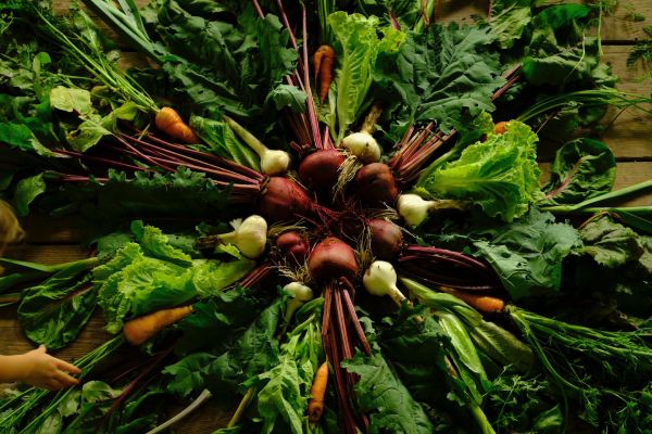 Fall vegetable mandala