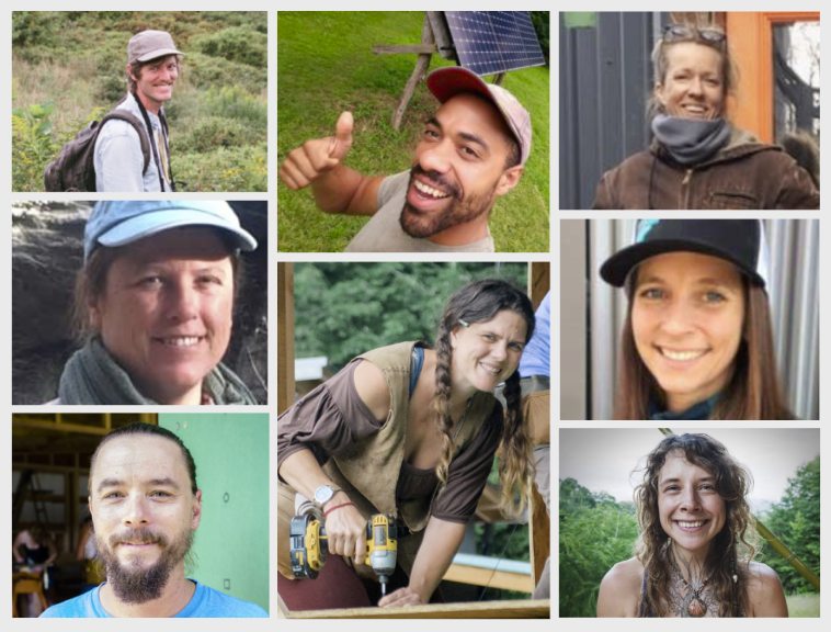 Wild Abundance Teacher Collage (3)