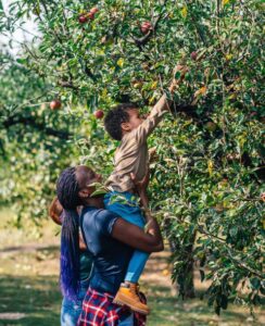 mother holding up a child to pick an apple from a tree