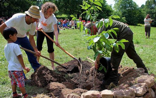 group of people planting a tree together