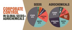 chart of seed companies and biotech comopanies