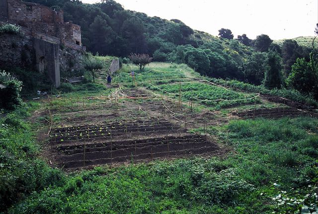 aerial view of well-planned garden