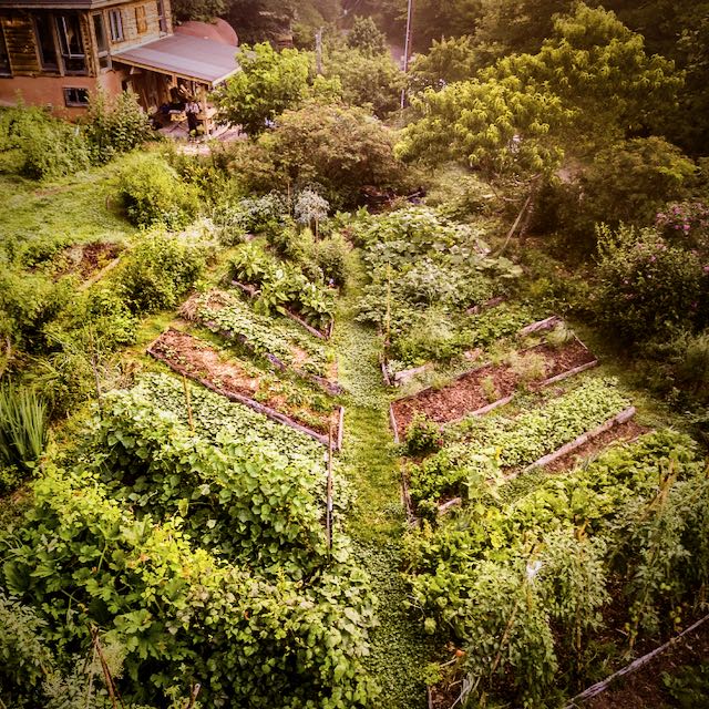 leaf shaped garden beds