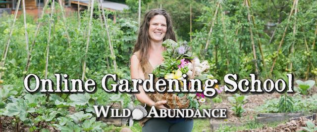 Online Gardening School Banner with Natalie Bogwalker