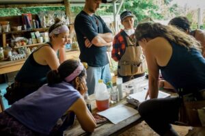 group of students working on tiny house design and budget