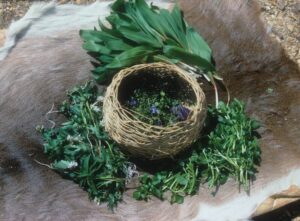 basket of foraged wild foods