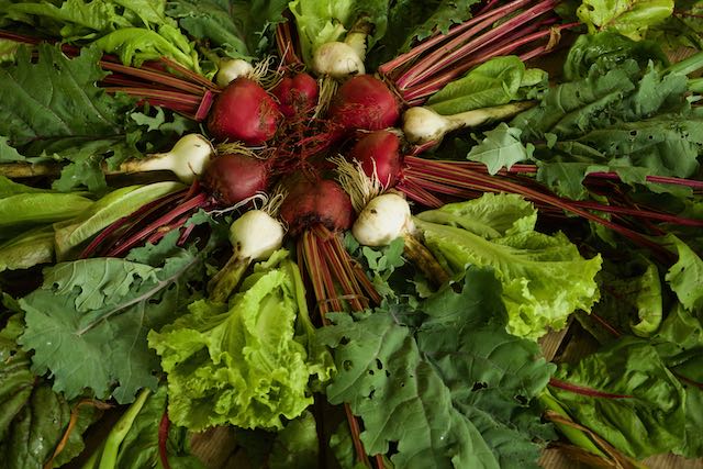 Fall gardening is about what to plan for success like turnips