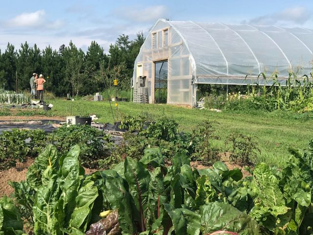 high tunnel in a garden