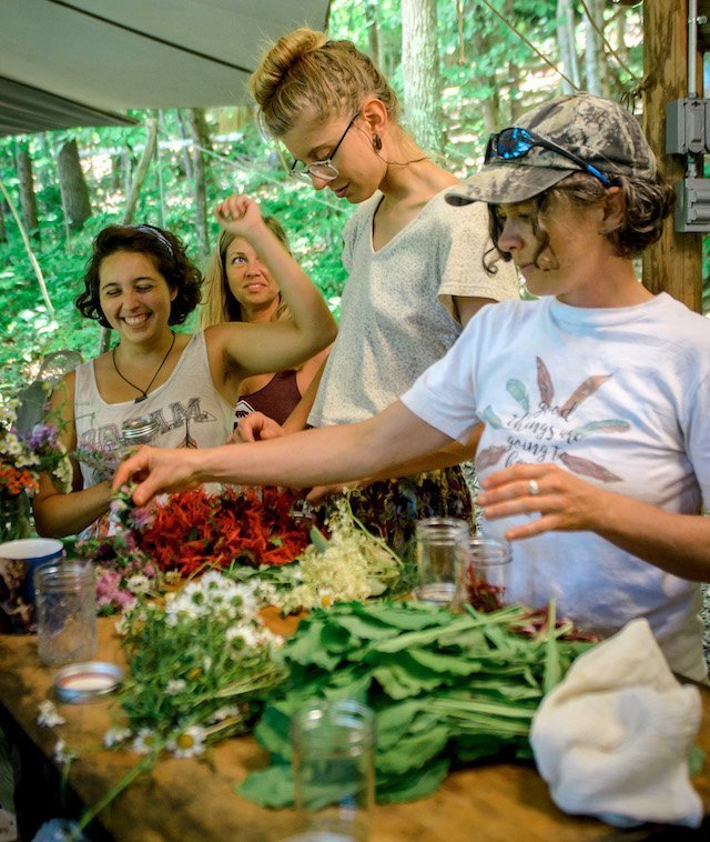 Four women working together wildcrafting. One is raising her arm in joy.