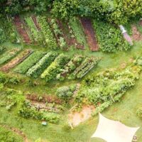 Permaculture Garden seen from above. Shows leaf shaped planting and pond