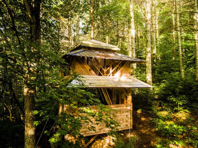Cabin-like Tiny house in the woods