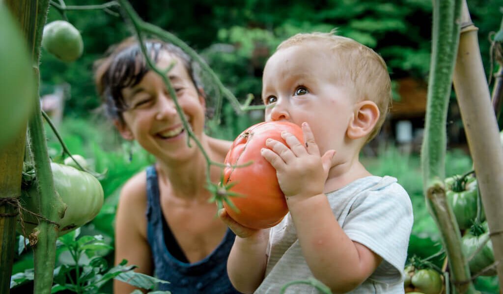 Baby eats tomato while mom overlooks in garden