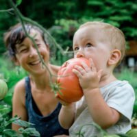 Baby eats tomato while mom overlooks in garden