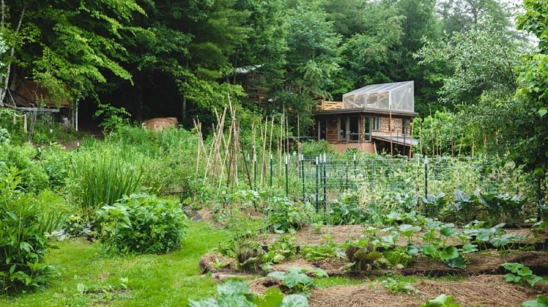 permaculture garden at Wild Abundance near Asheville NC