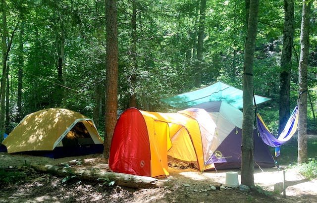 Camping amongst the trees in tents at Earthhaven