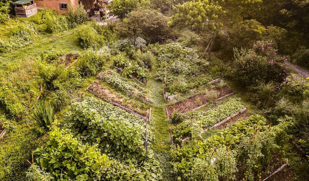 A garden as seen from above that has been holistically planted