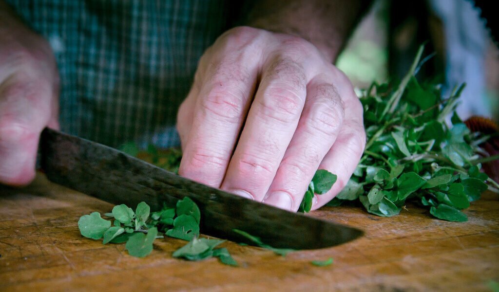 Man chopping herbs during wildcrafting course