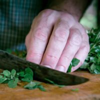Man chopping herbs during wildcrafting course