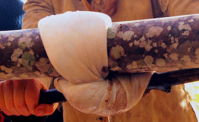 closeup of deer hide wringing on a wooden beam during hide tanning class