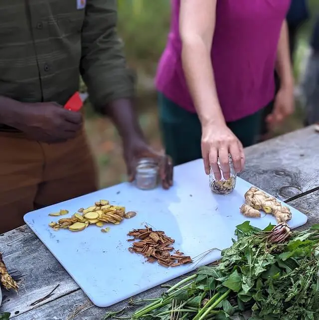 Two students create Herbal Goodies during a wildcrafting and medicine making class