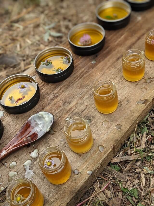 Salves created during a wildcrafting and medicine making class
