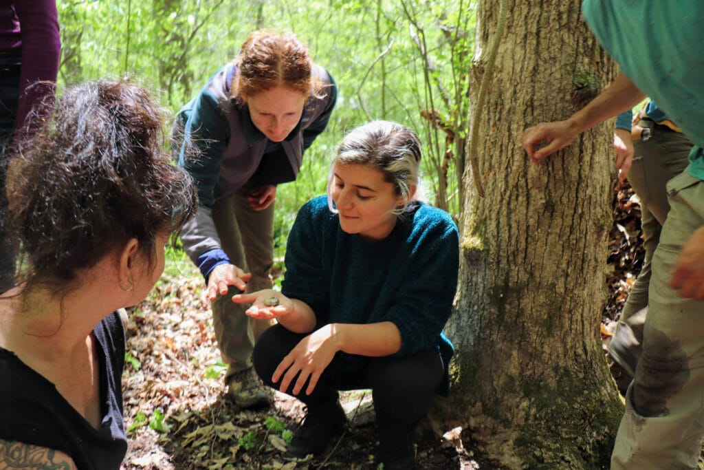 students learn how to forage food during a survival skills class at Wild Abundance