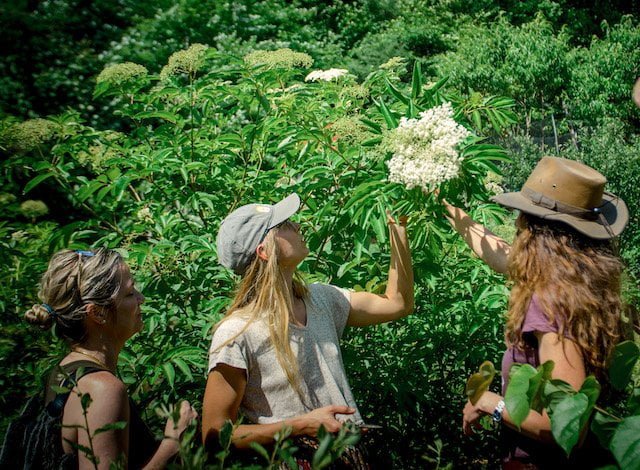 Three Women rewilding together