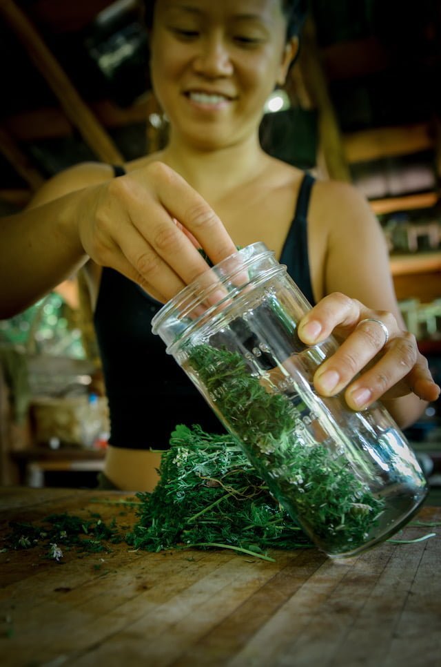 Woman jarring herbs smiling, during a Wildcrafting and Medicine making class