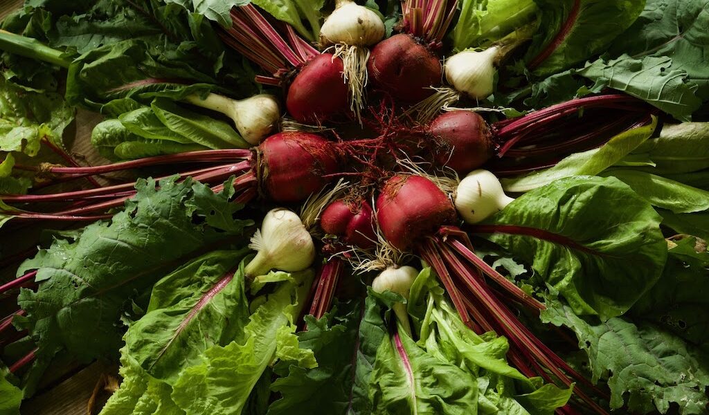 Beets: a food to grow for fall harvests