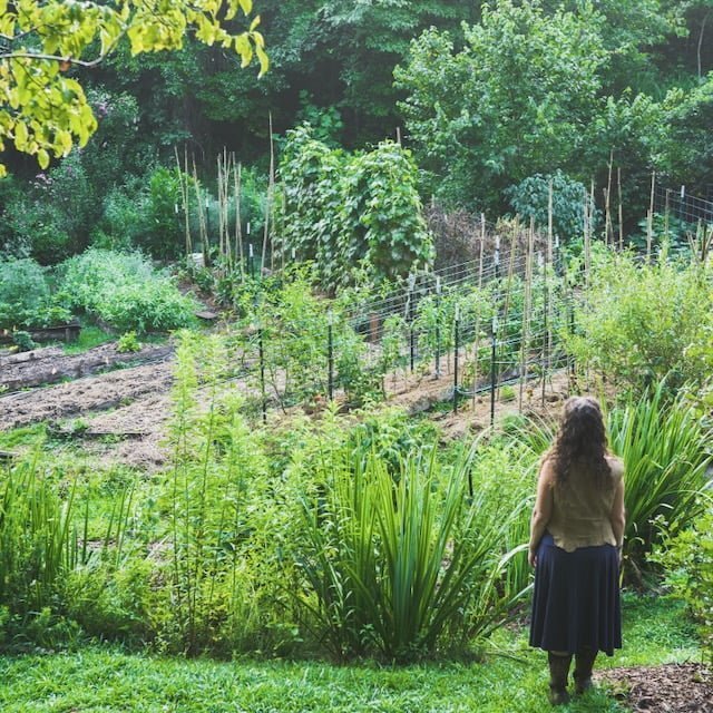 Woman gazing at her garden