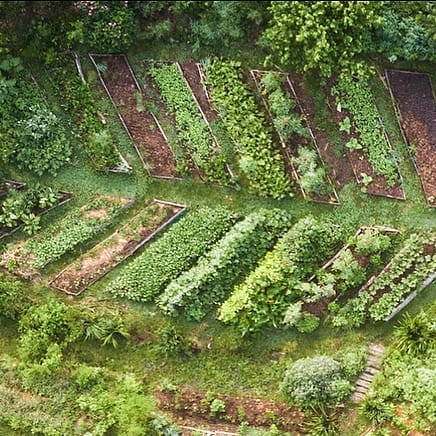 A view of the annual organic vegetable garden beds layout at Wild Abundance as seen from above in an aerial photograph