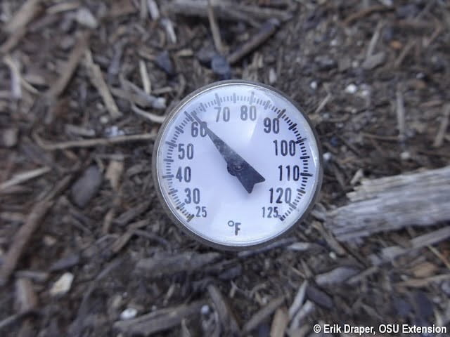 soil thermometer reading around 60 degrees farenheit