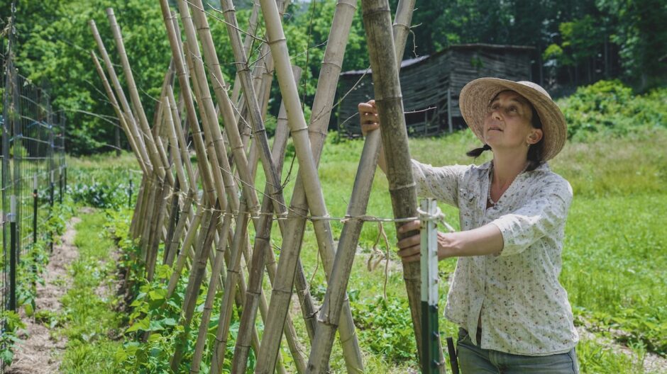 Chloe building a bamboo trellis for pole beans