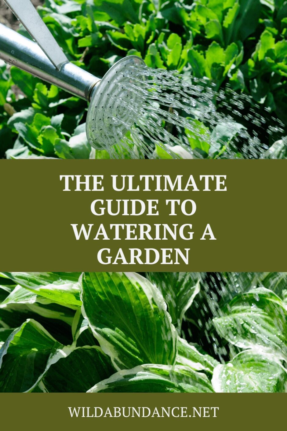 Ultimate Guide to Watering a Garden