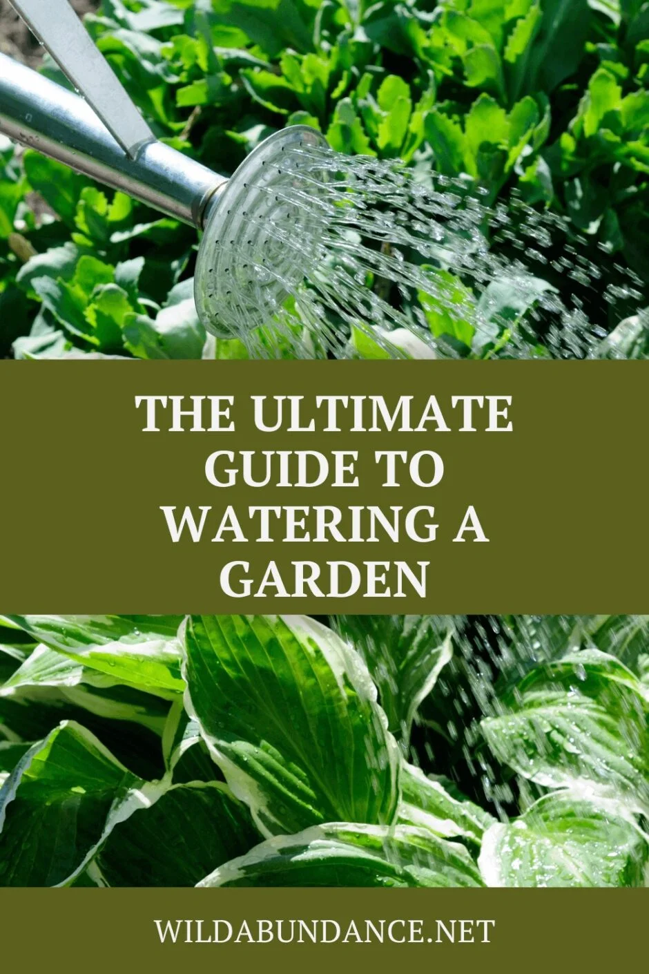 The Ultimate Guide to Watering a Garden | WILD ABUNDANCE
