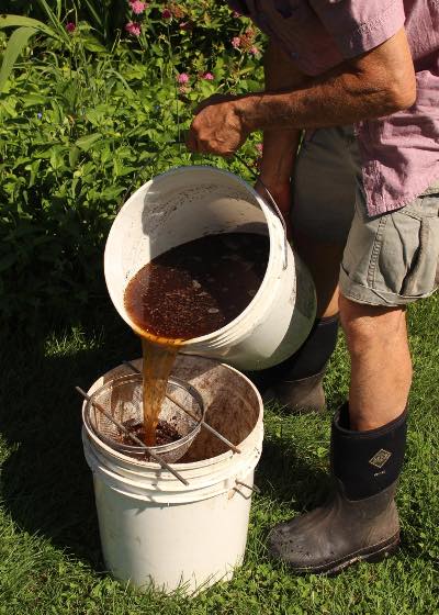 straining compost tea from one bucket into another